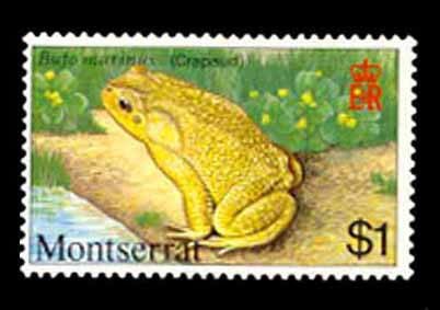 Stamp0005