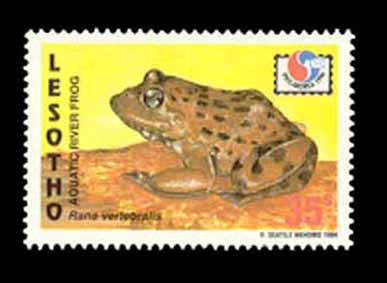 Stamp0017